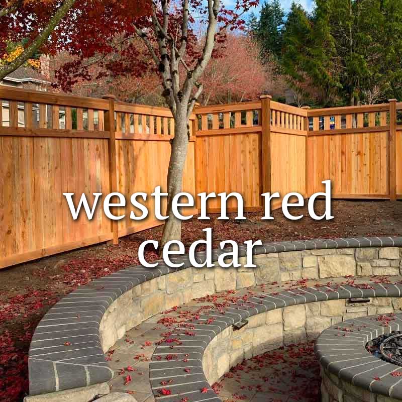 Western Red Cedar fence