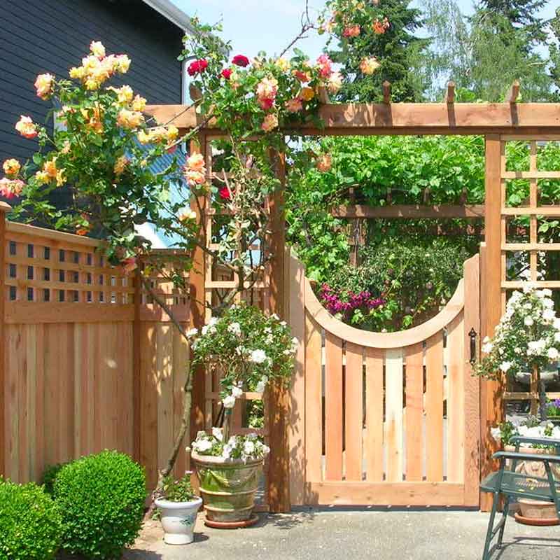 cedar fence, gate and arbor
